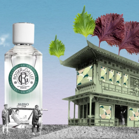 Roger & Gallet - Shiso
