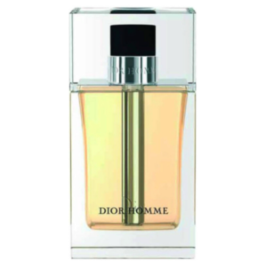 Christian Dior - Homme (2005)