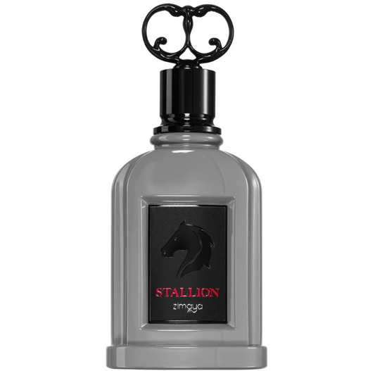 Zimaya - Stallion